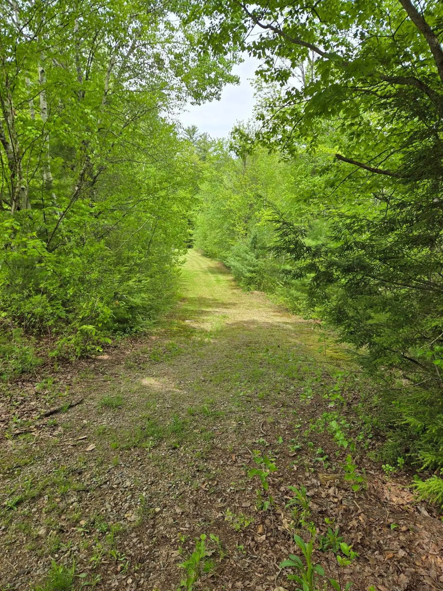 764 Nh Route 3a Hill NH 03243