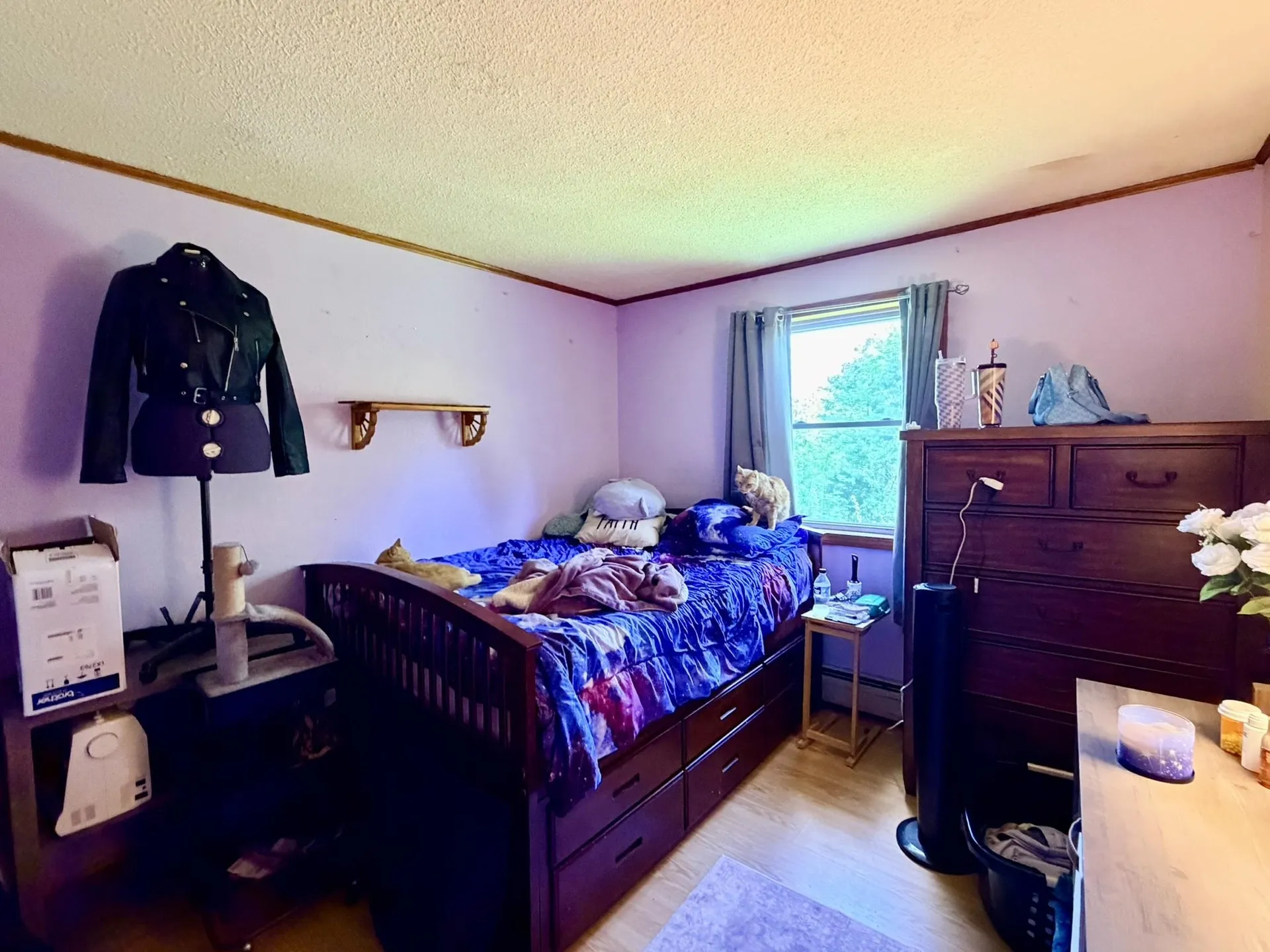 1038 Hazen Notch Road Lowell VT 05847