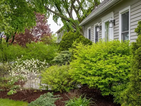113 Maplewood Drive Shelburne VT 05482