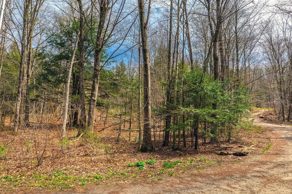 530 Finbars Forest Road Manchester VT 05255