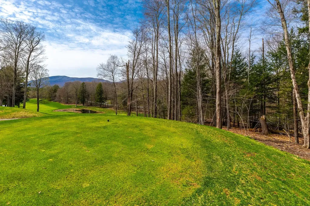 530 Finbars Forest Road Manchester VT 05255