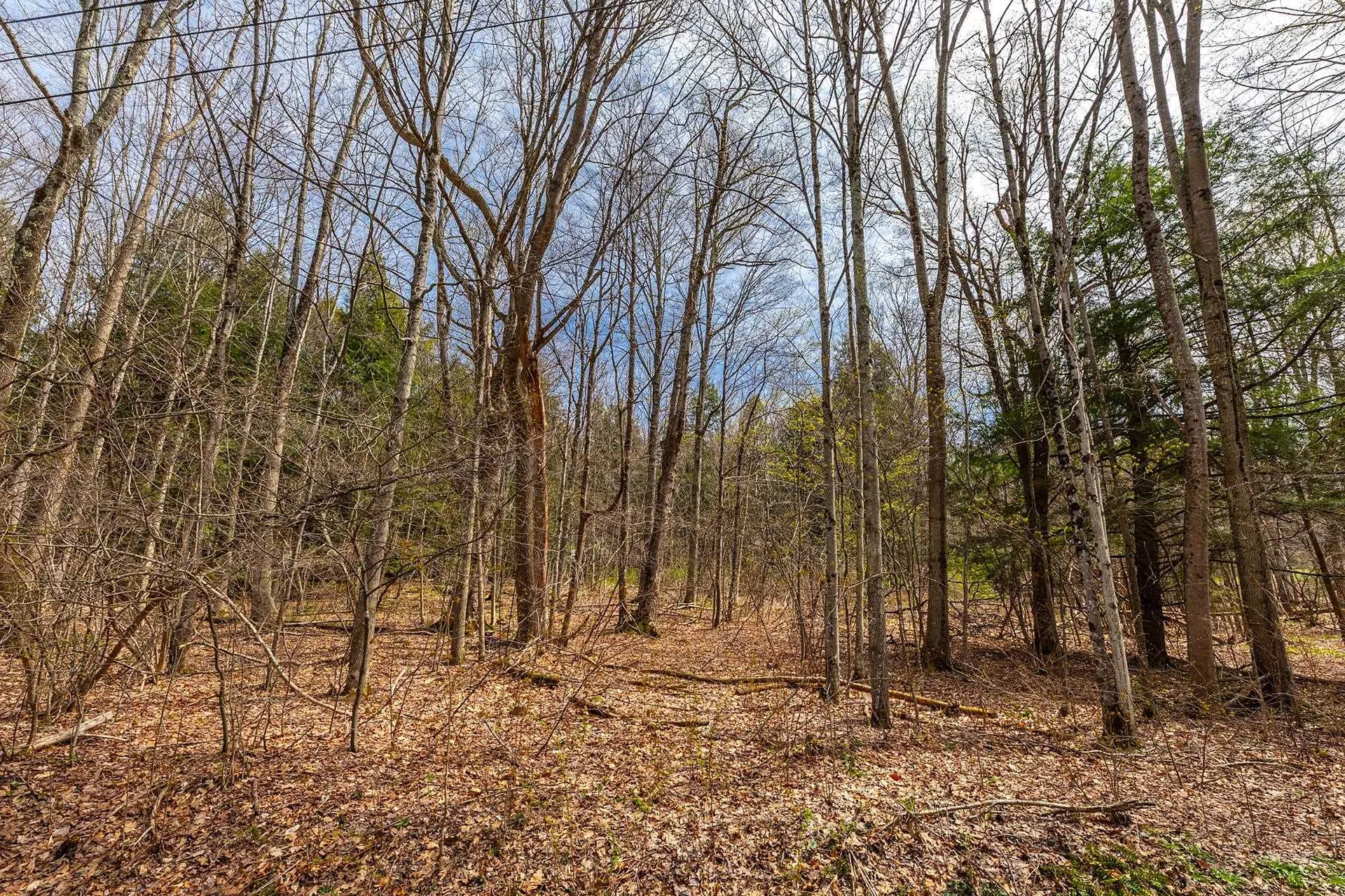 530 Finbars Forest Road Manchester VT 05255