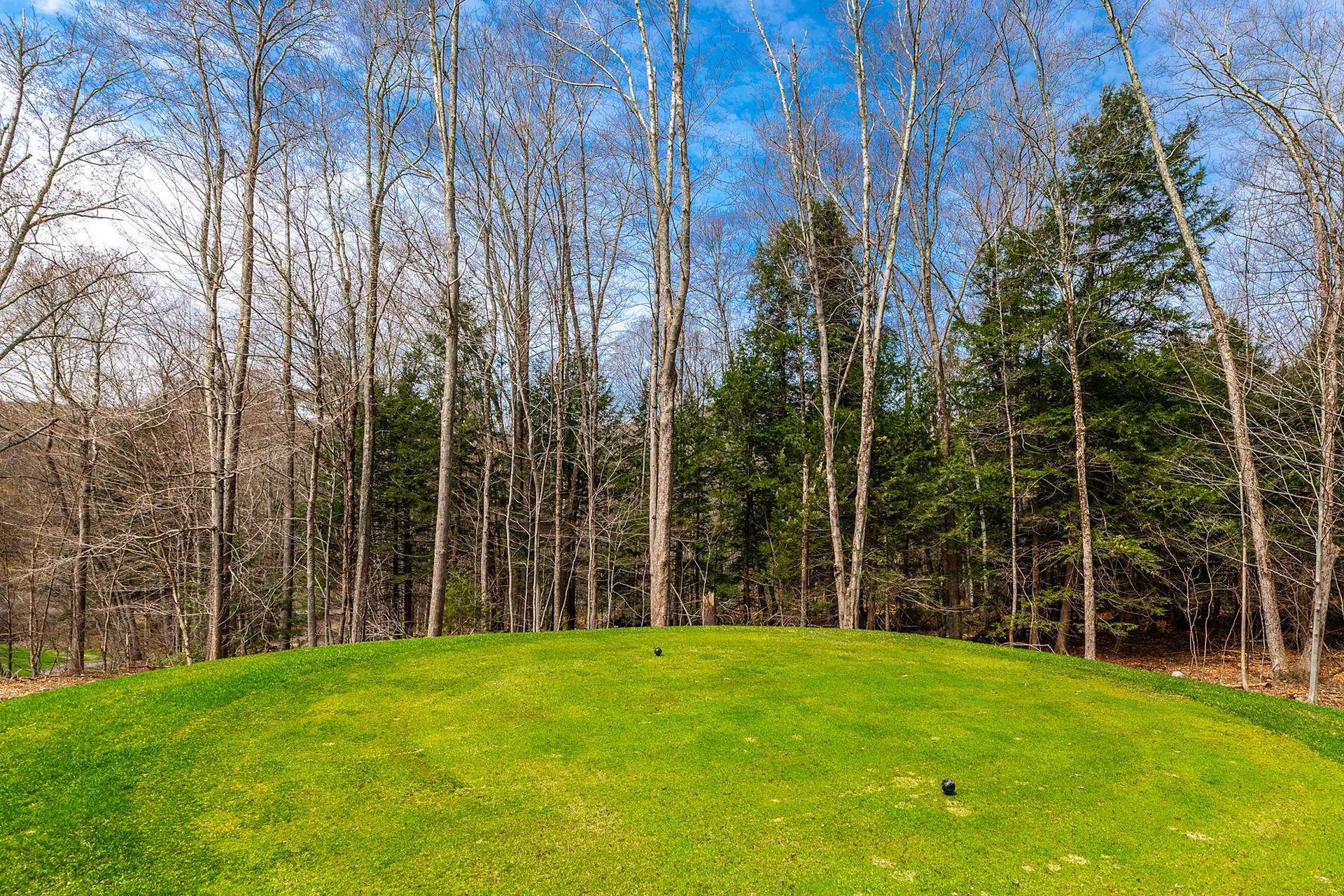530 Finbars Forest Road Manchester VT 05255