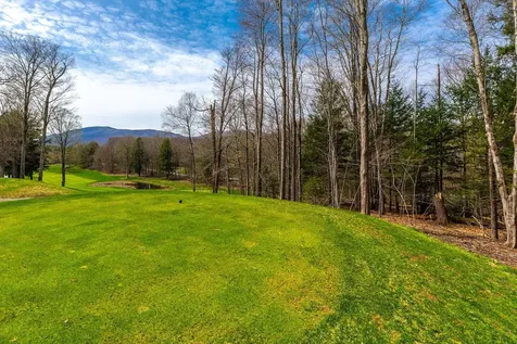 530 Finbars Forest Road Manchester VT 05255