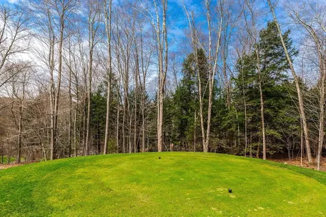 530 Finbars Forest Road Manchester VT 05255