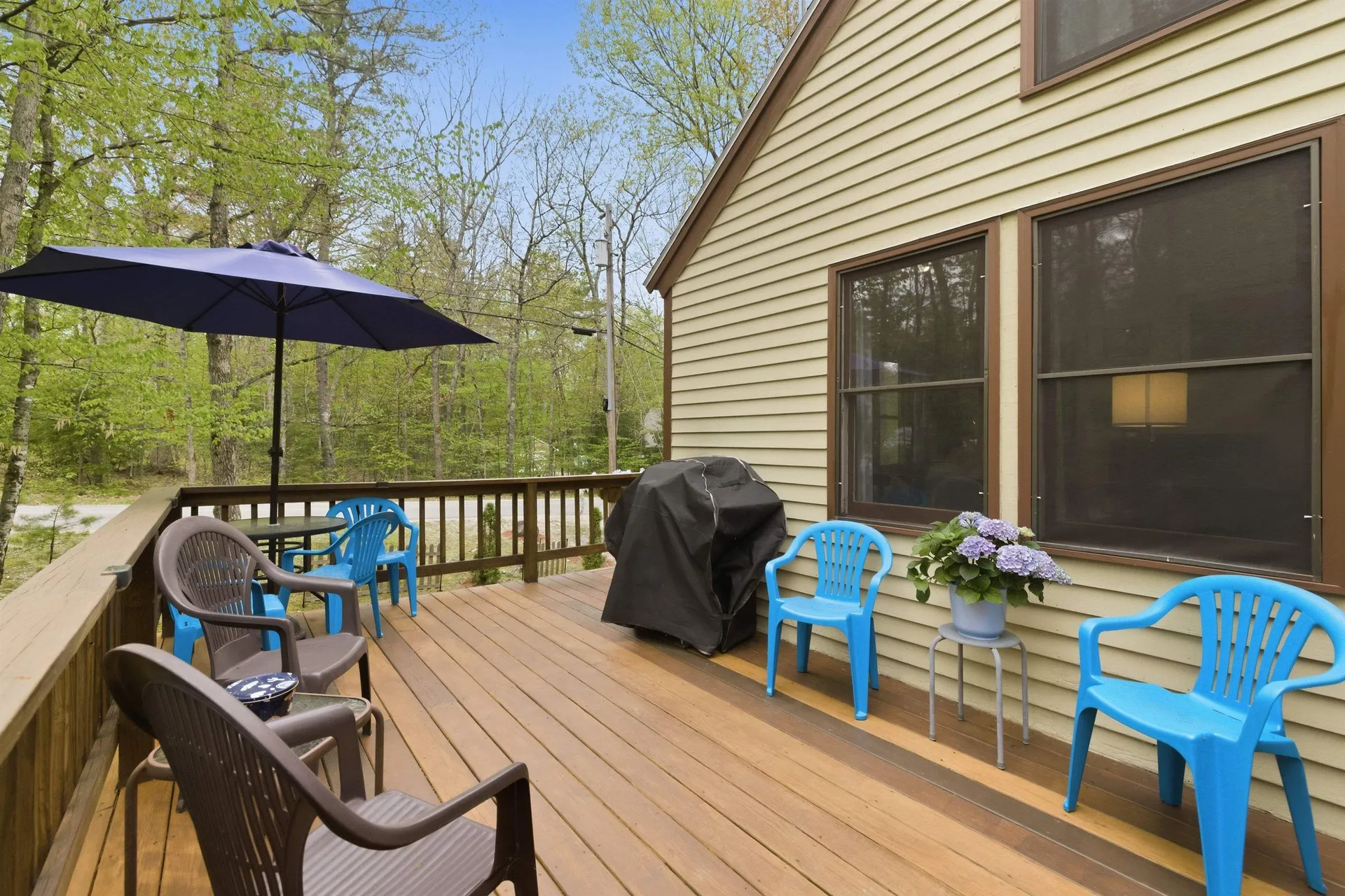 115 Wintersport Street Moultonborough NH 03254