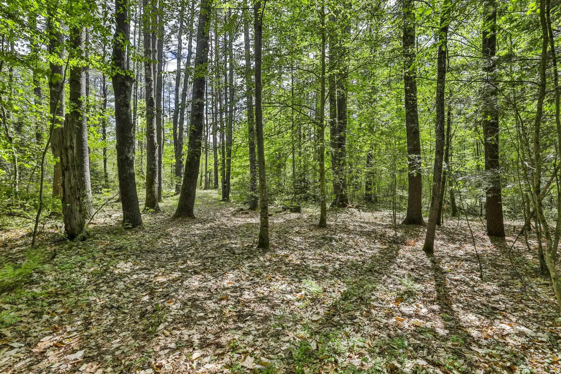 2A & 2b Camp Road Amherst NH 03031