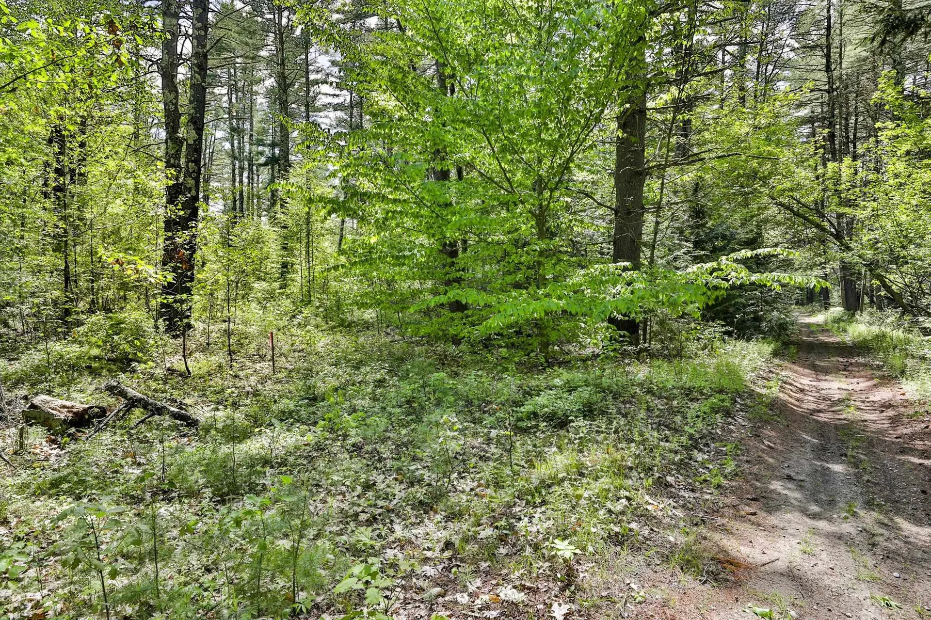2A & 2b Camp Road Amherst NH 03031