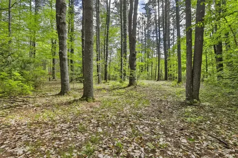 2A & 2b Camp Road Amherst NH 03031