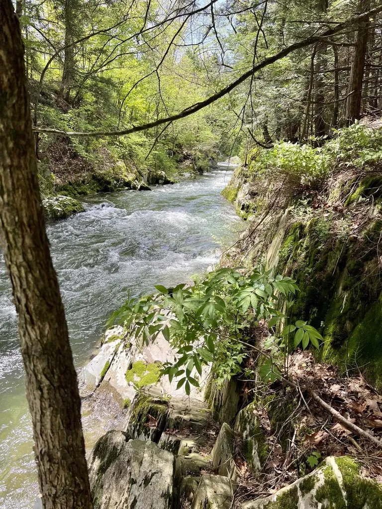 228 Button Falls Road Pawlet VT 05775