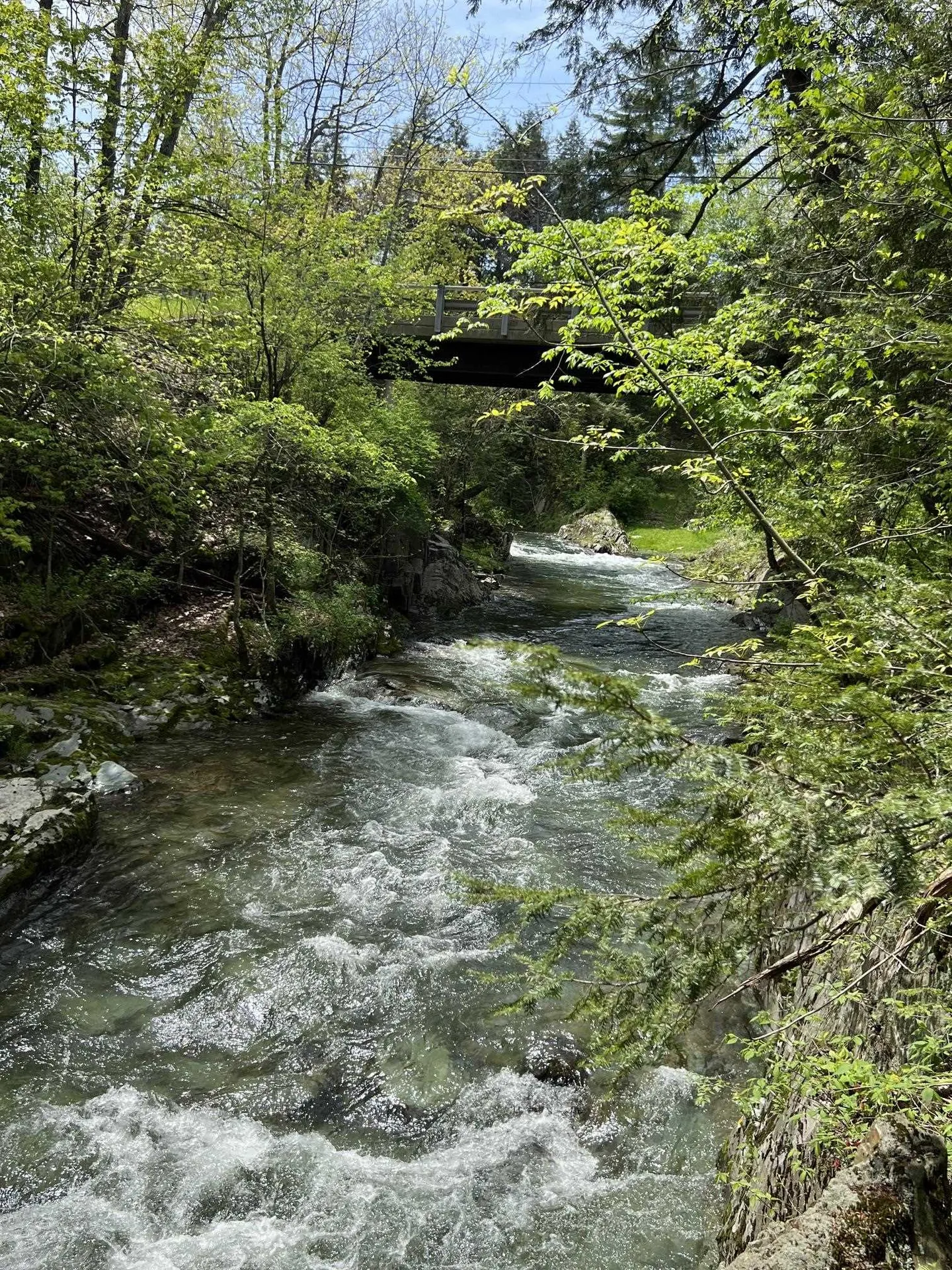 228 Button Falls Road Pawlet VT 05775