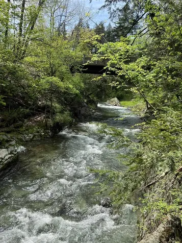 228 Button Falls Road Pawlet VT 05775