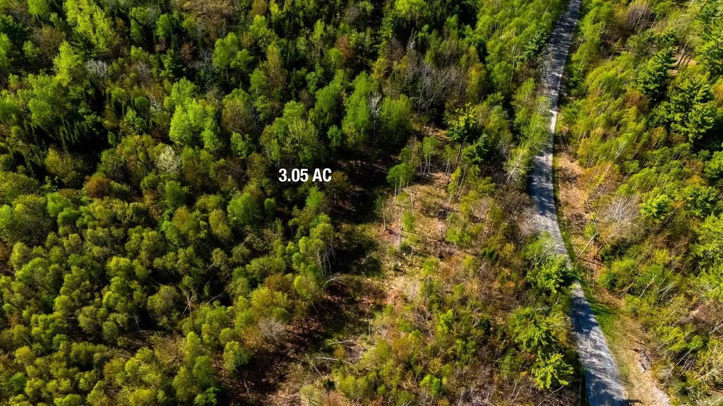 82 Bear Paw Trail Littleton NH 03561