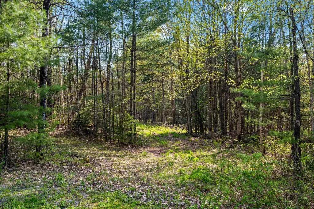 82 Bear Paw Trail Littleton NH 03561