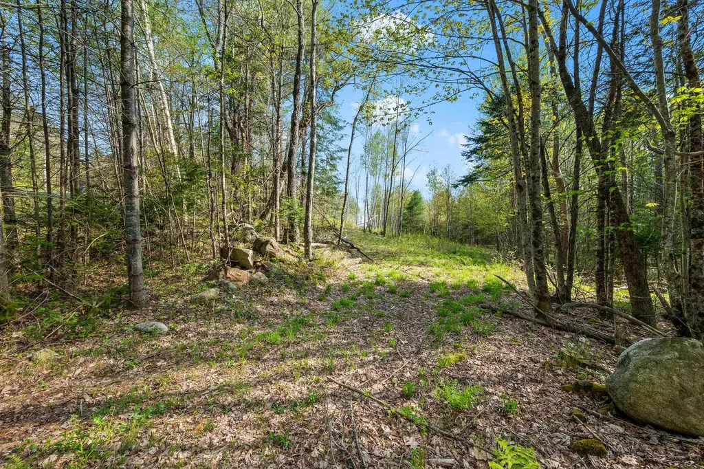 82 Bear Paw Trail Littleton NH 03561