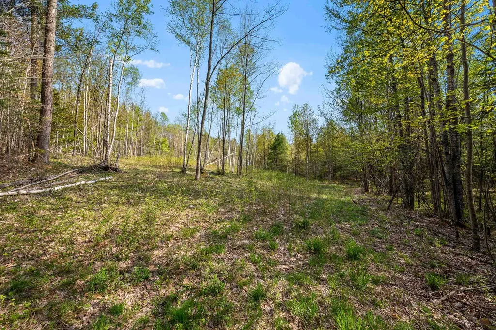 82 Bear Paw Trail Littleton NH 03561