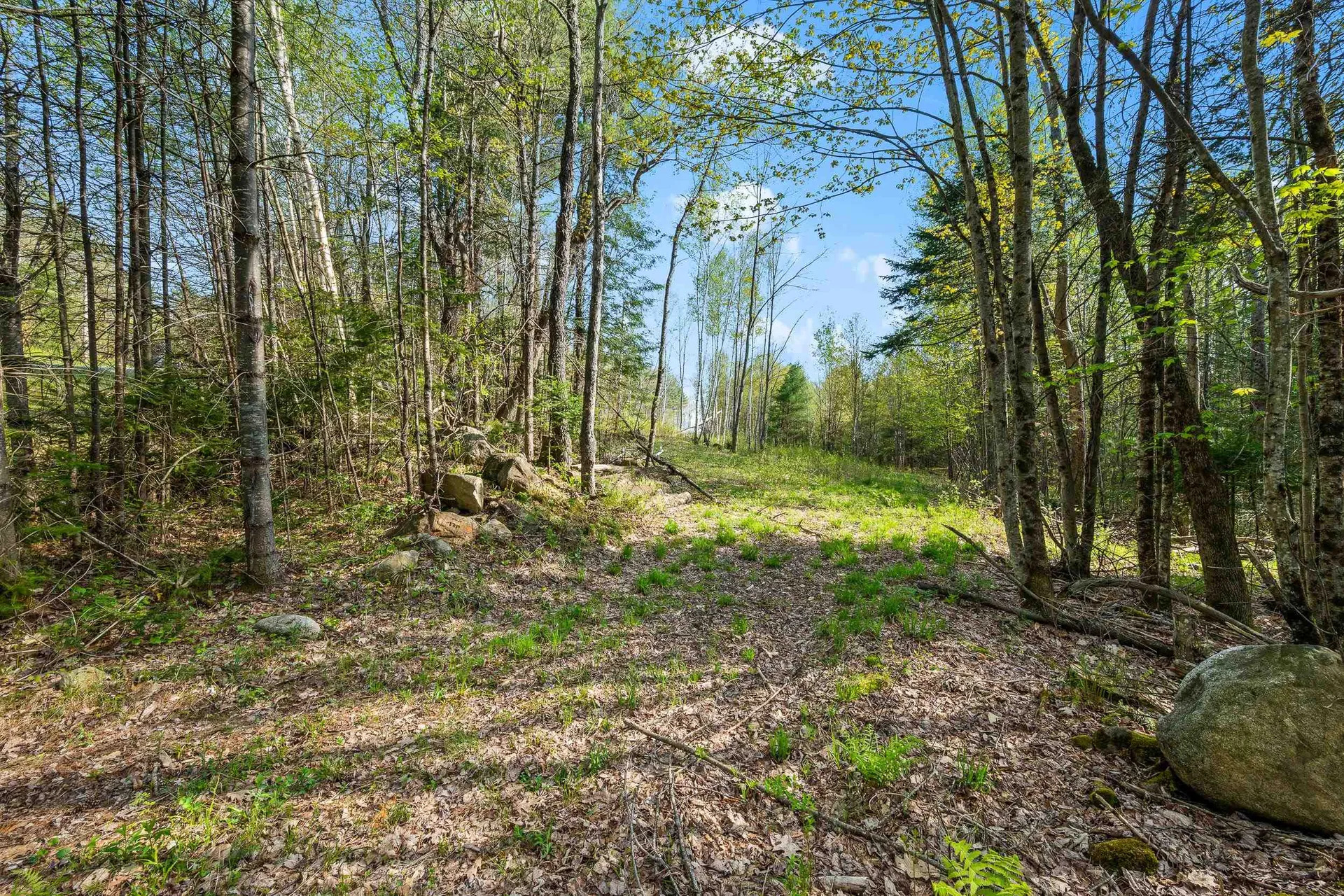 82 Bear Paw Trail Littleton NH 03561