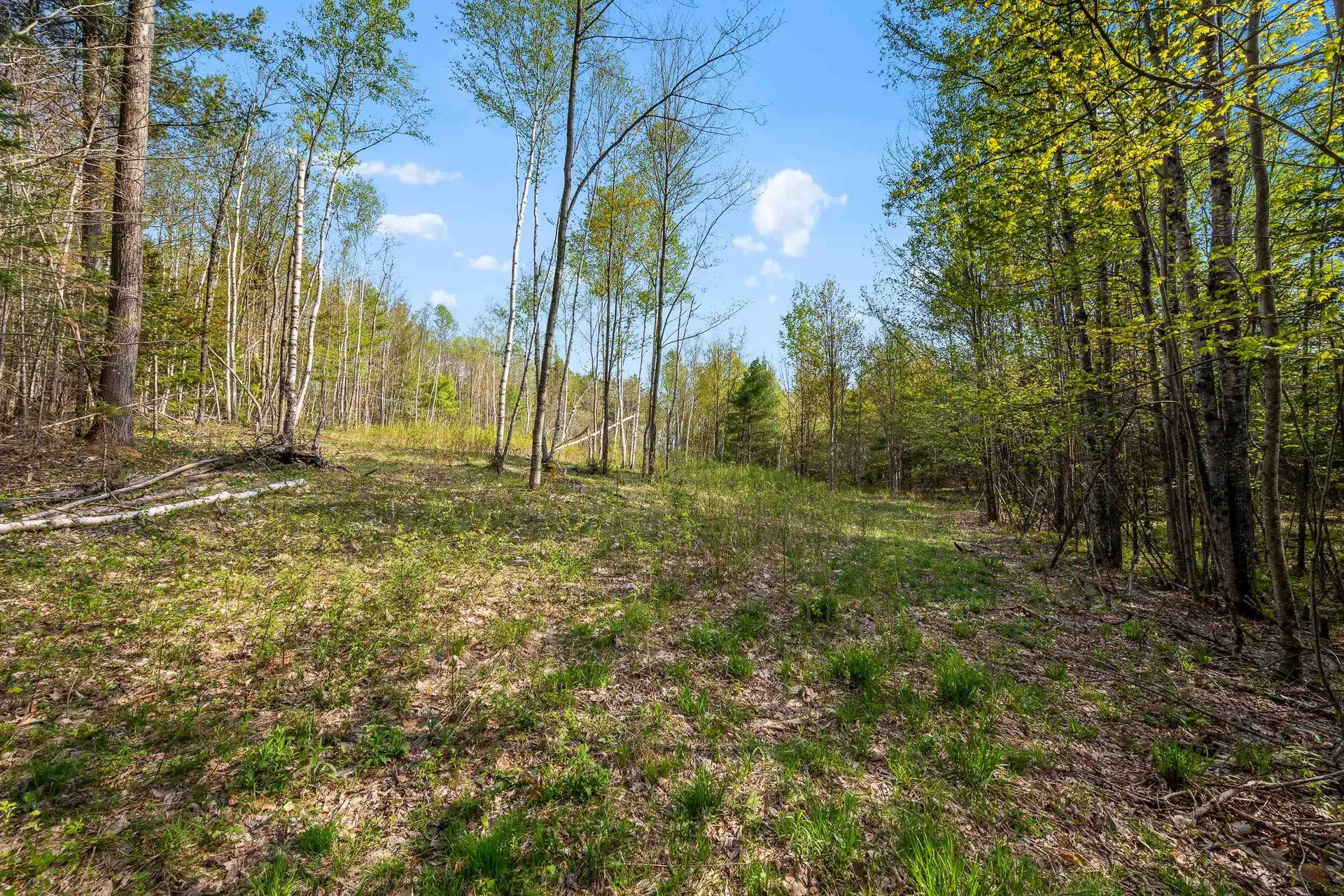 82 Bear Paw Trail Littleton NH 03561