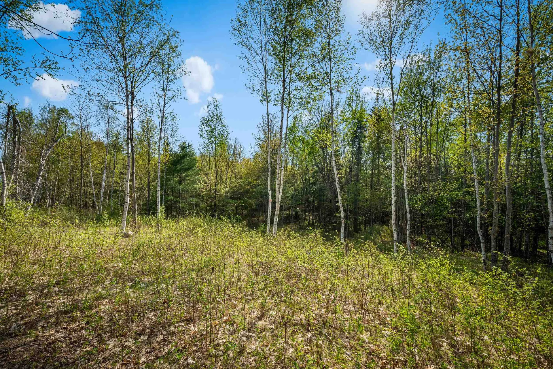 82 Bear Paw Trail Littleton NH 03561