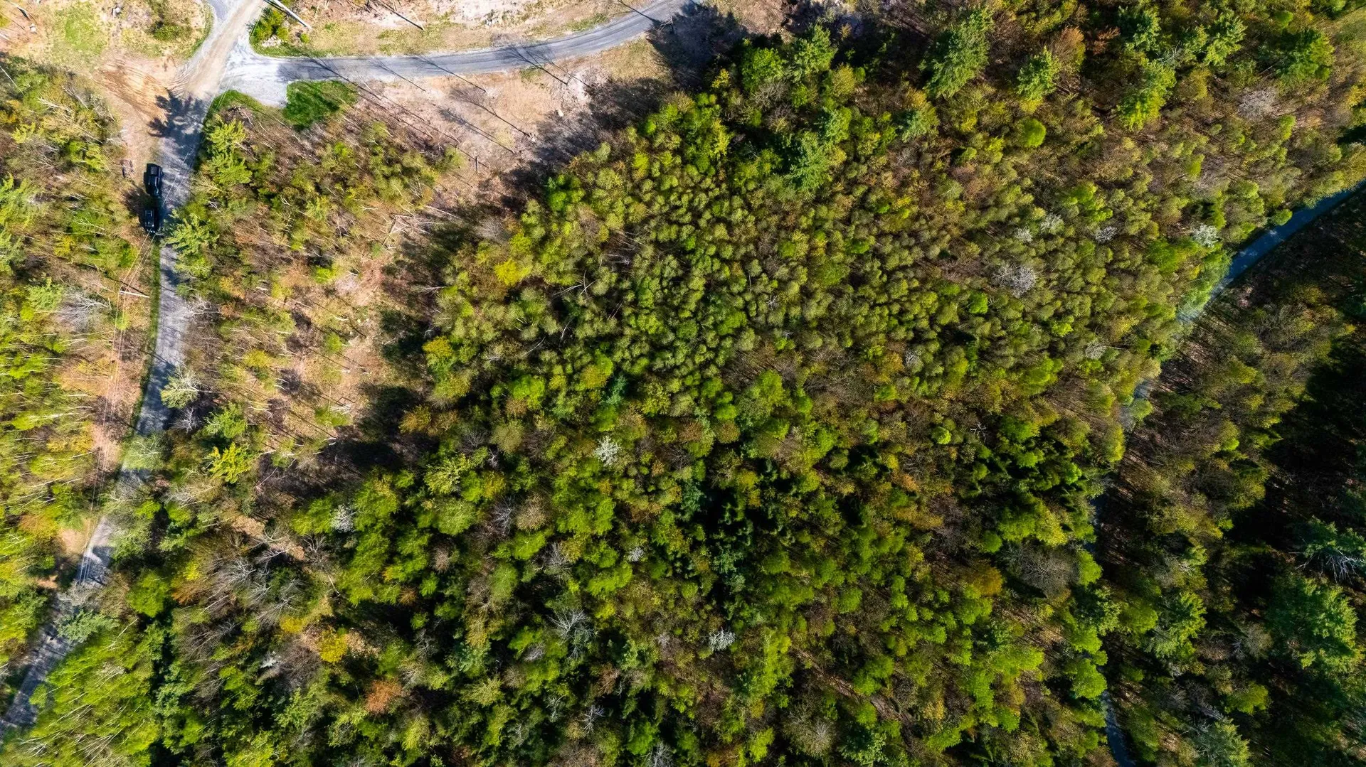 82 Bear Paw Trail Littleton NH 03561