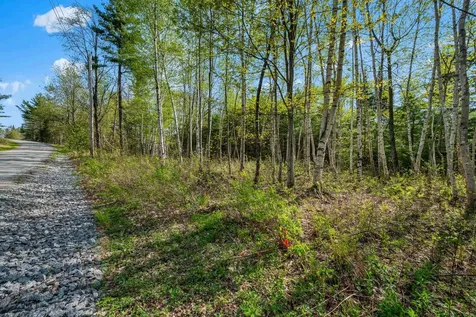 82 Bear Paw Trail Littleton NH 03561