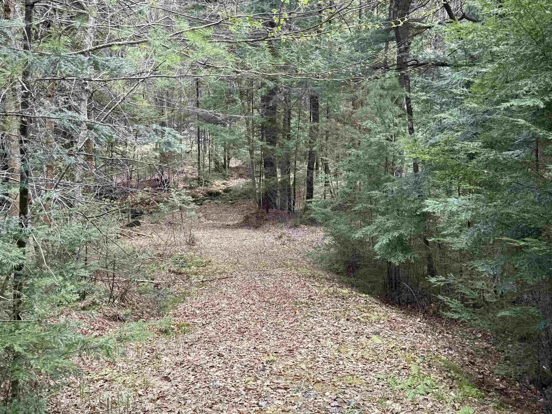 37 Maple Road Canaan NH 03741
