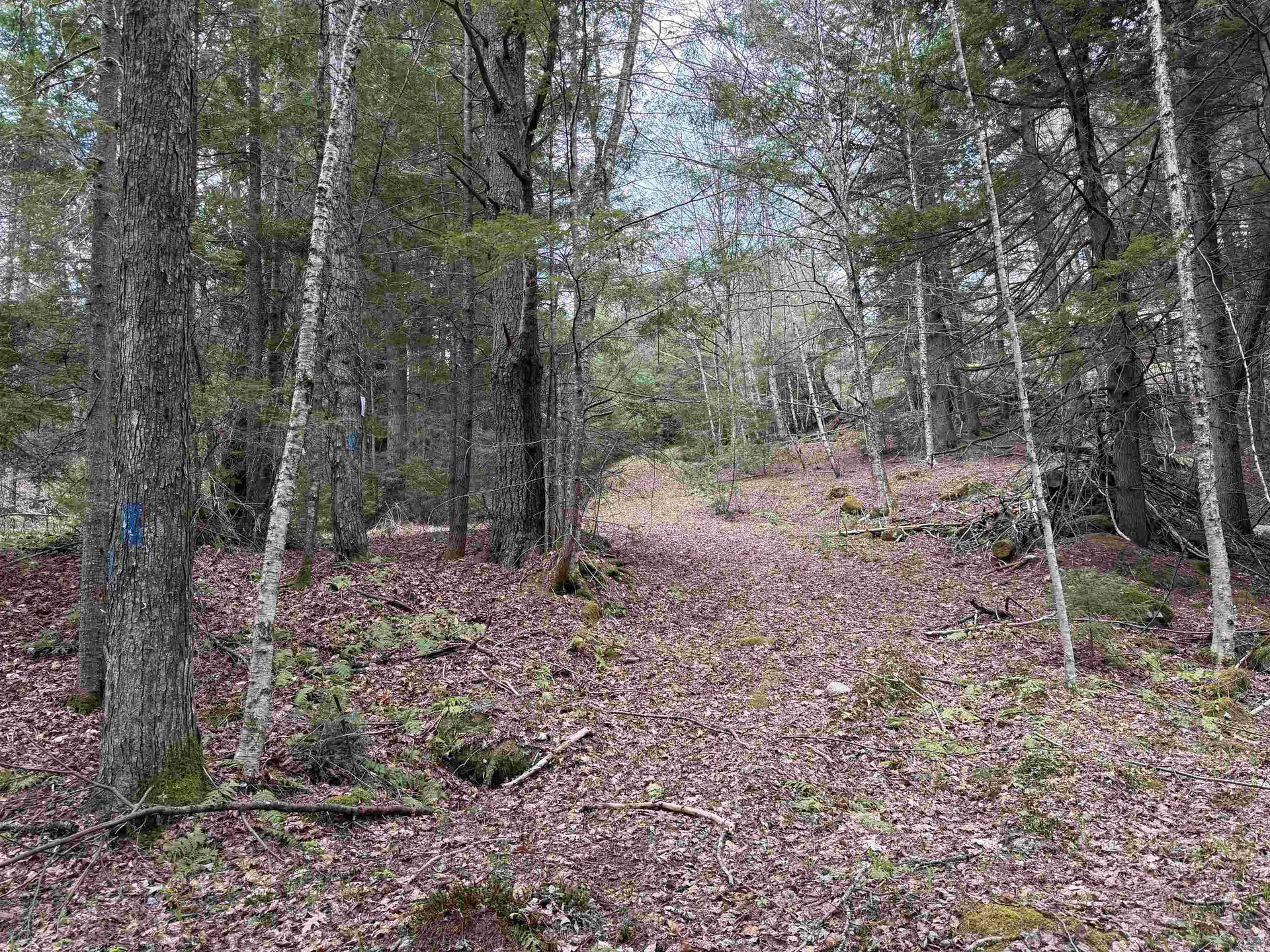 37 Maple Road Canaan NH 03741