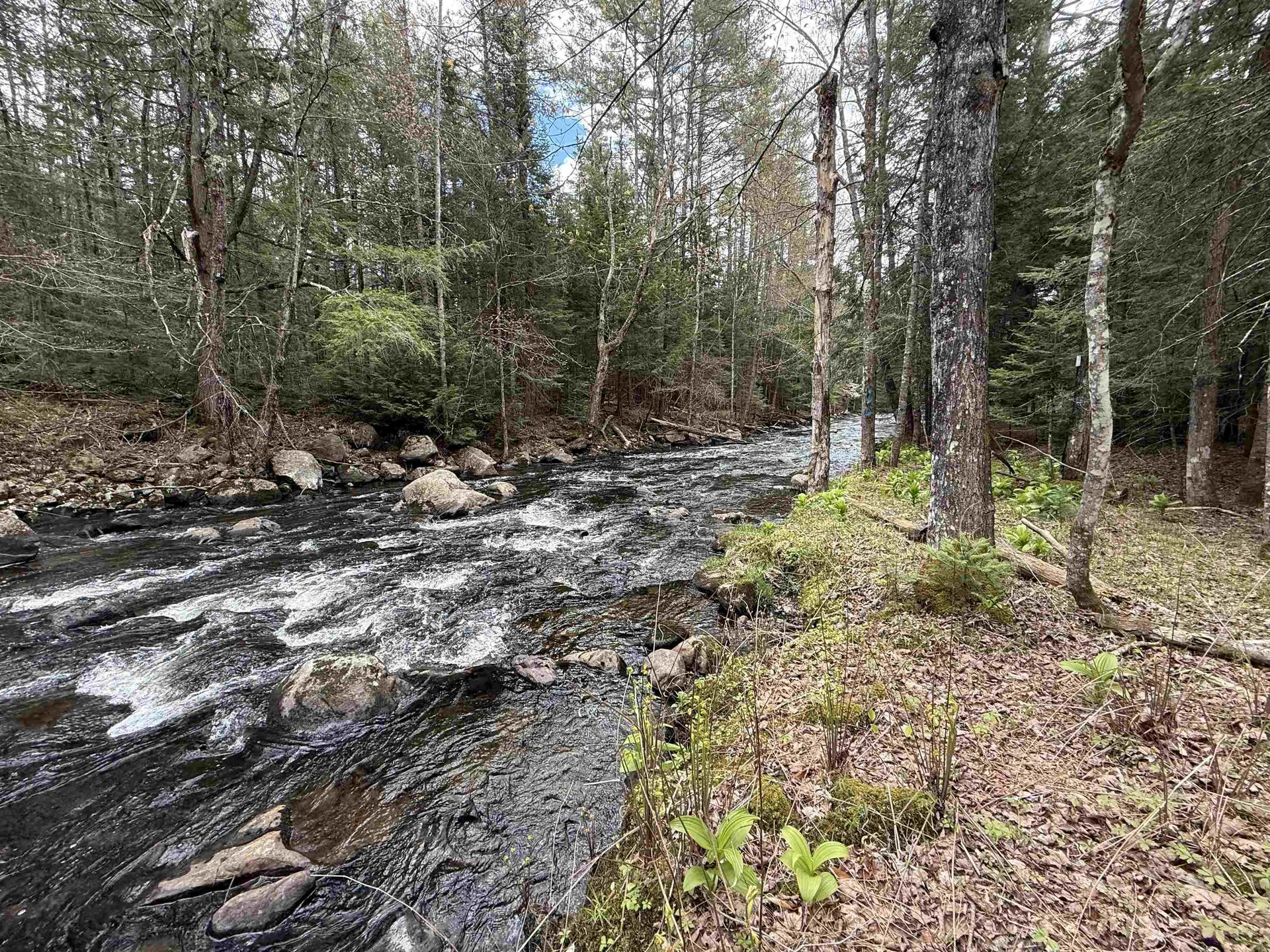 37 Maple Road Canaan NH 03741