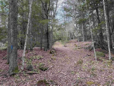37 Maple Road Canaan NH 03741