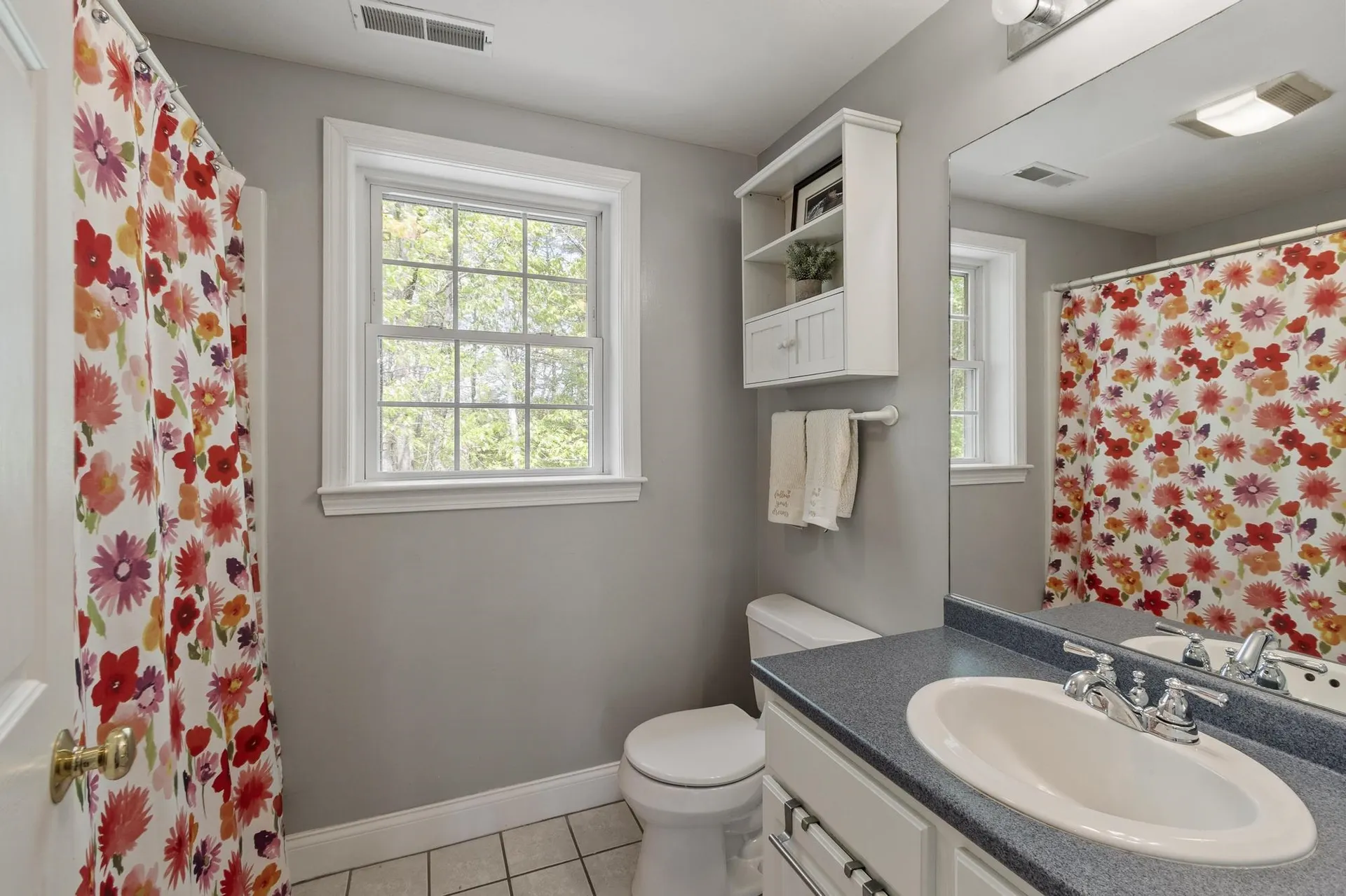 43 Ladyslipper Drive Newmarket NH 03857