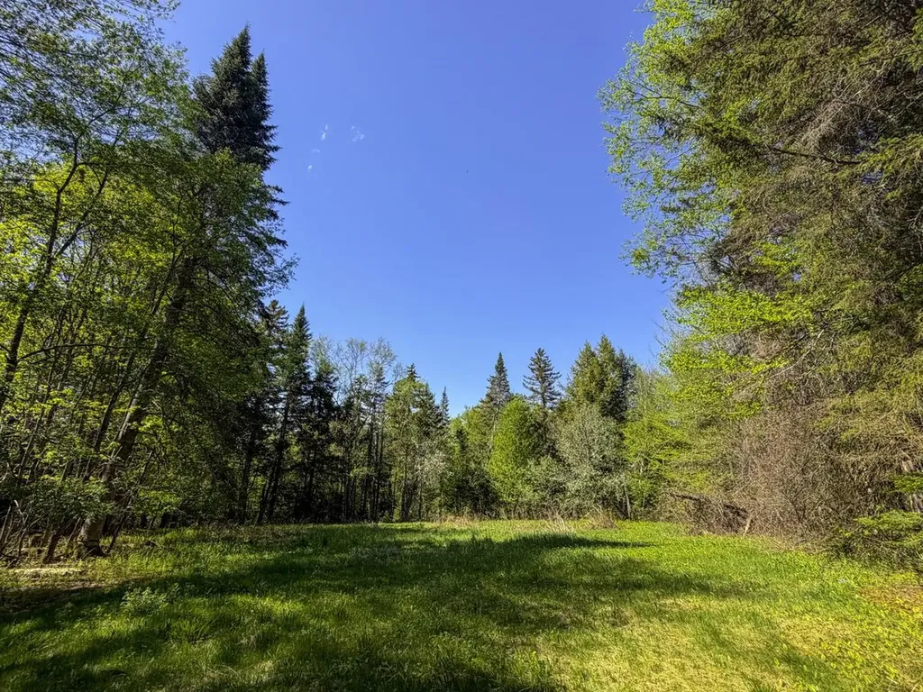 297 Robinson Road Warren VT 05674