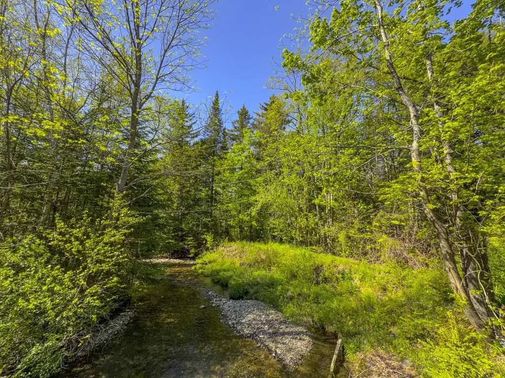 297 Robinson Road Warren VT 05674