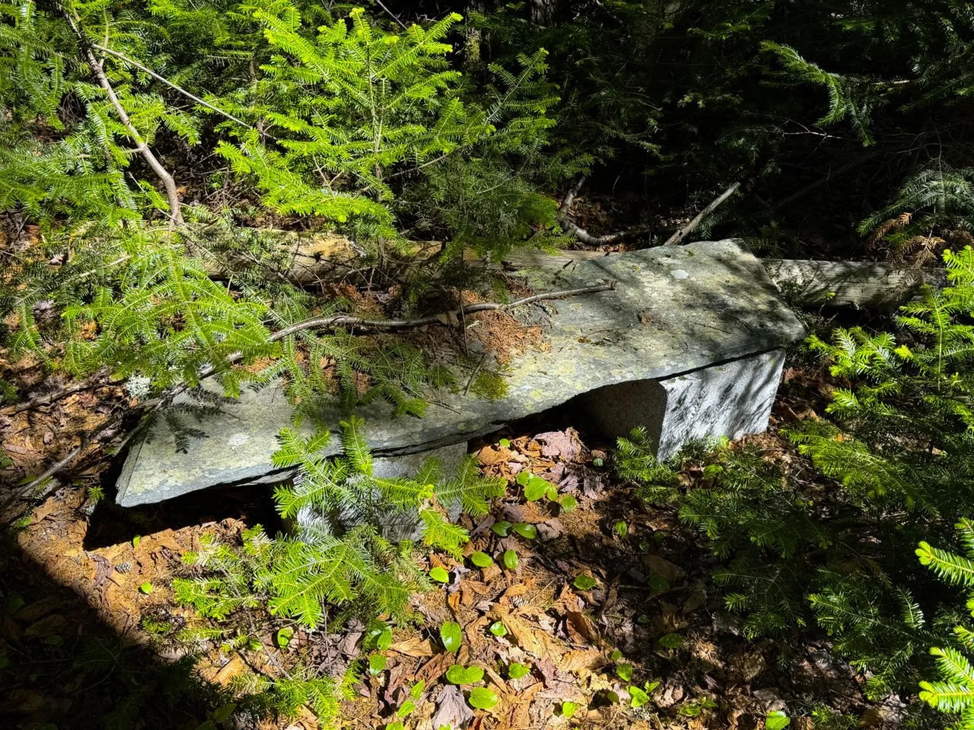297 Robinson Road Warren VT 05674