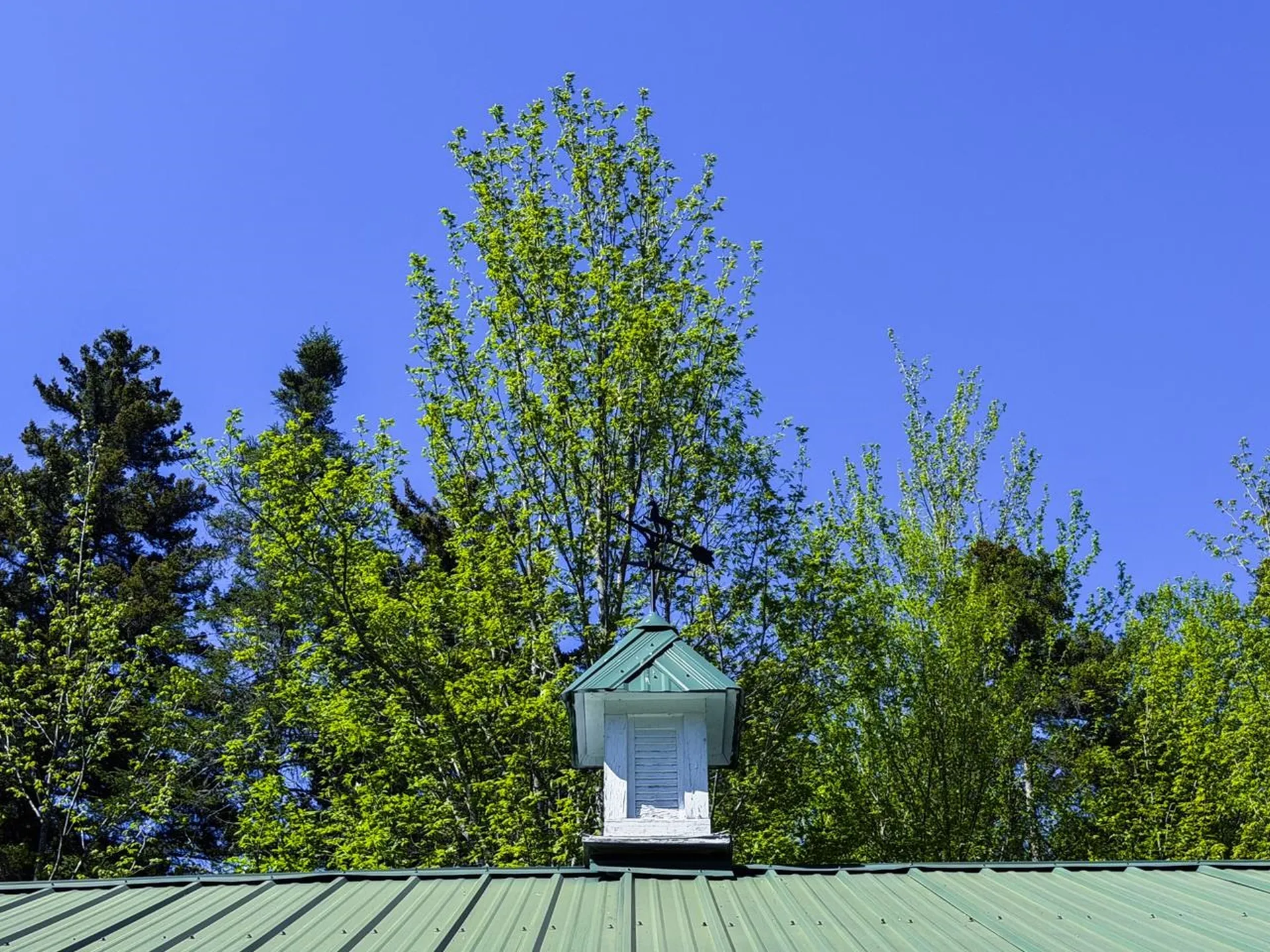 297 Robinson Road Warren VT 05674