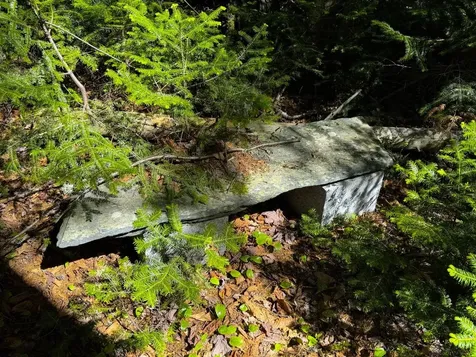 297 Robinson Road Warren VT 05674