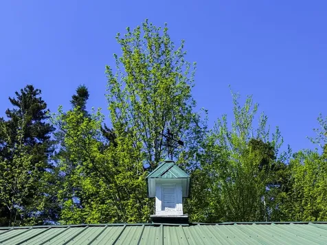 297 Robinson Road Warren VT 05674
