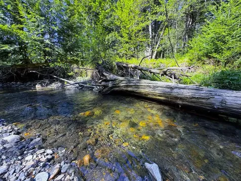 297 Robinson Road Warren VT 05674