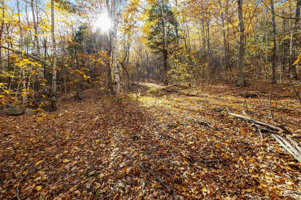 11/13/A/0 High Point Drive Alton NH 03810