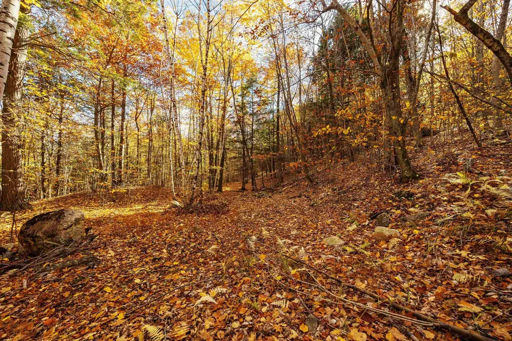 11/13/A/0 High Point Drive Alton NH 03810