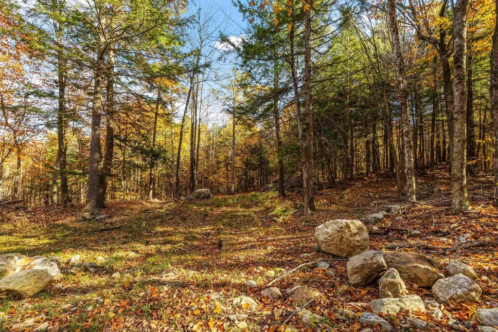 11/13/A/0 High Point Drive Alton NH 03810