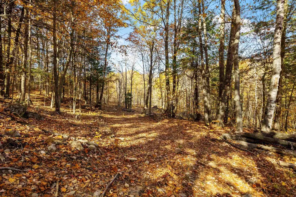 11/13/A/0 High Point Drive Alton NH 03810