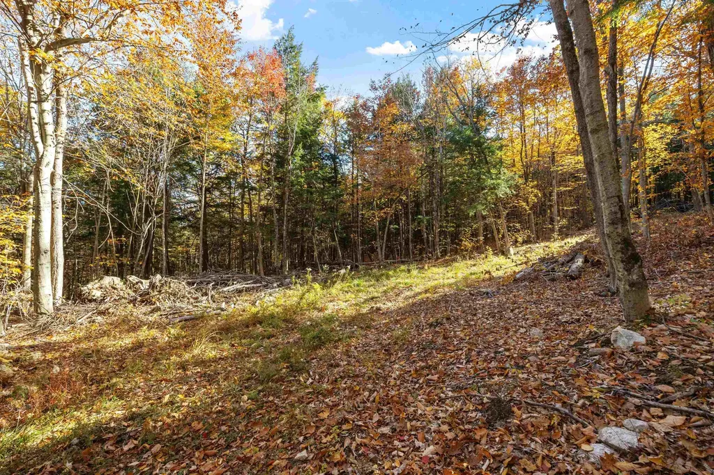 11/13/A/0 High Point Drive Alton NH 03810