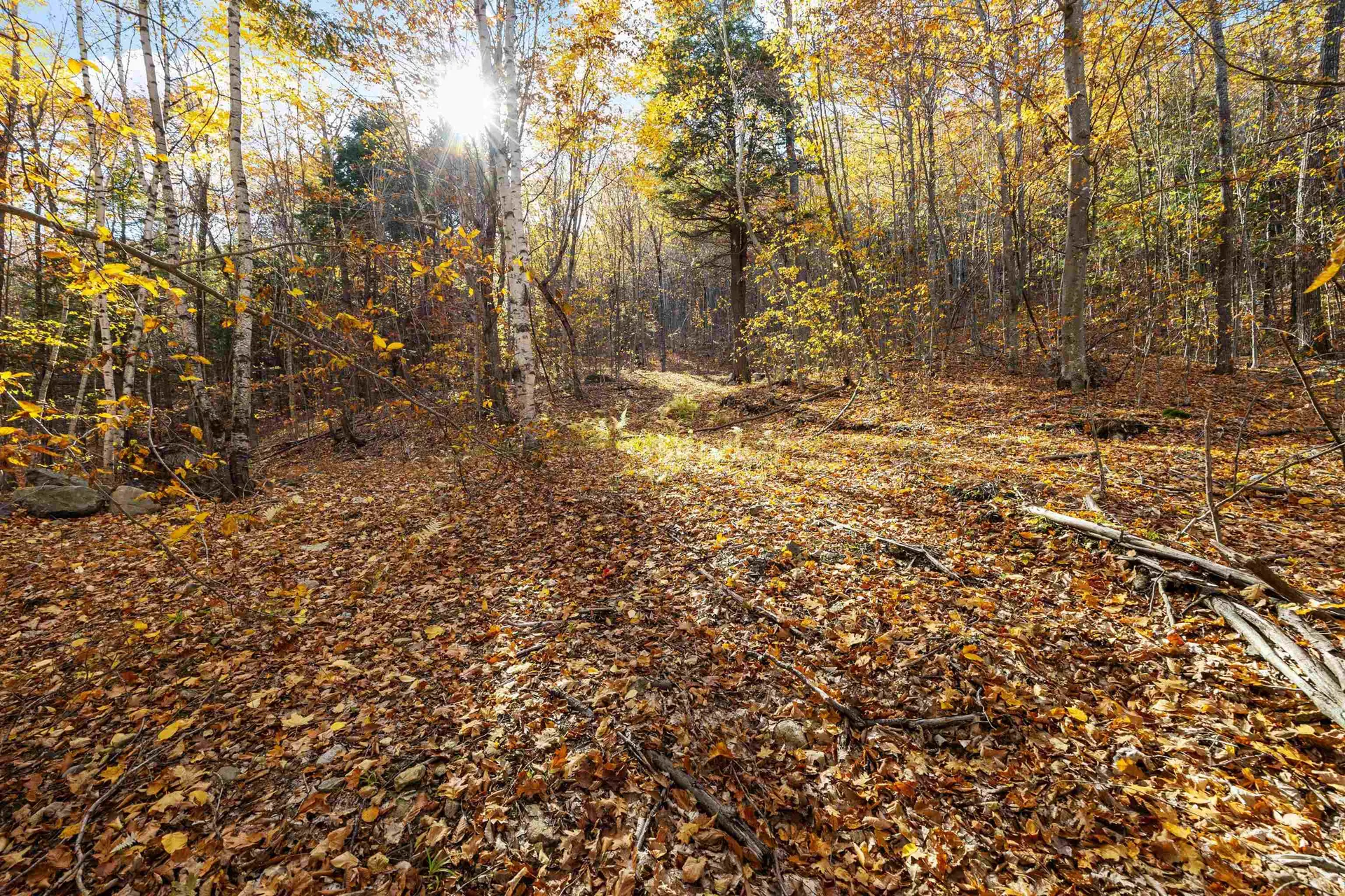 11/13/A/0 High Point Drive Alton NH 03810