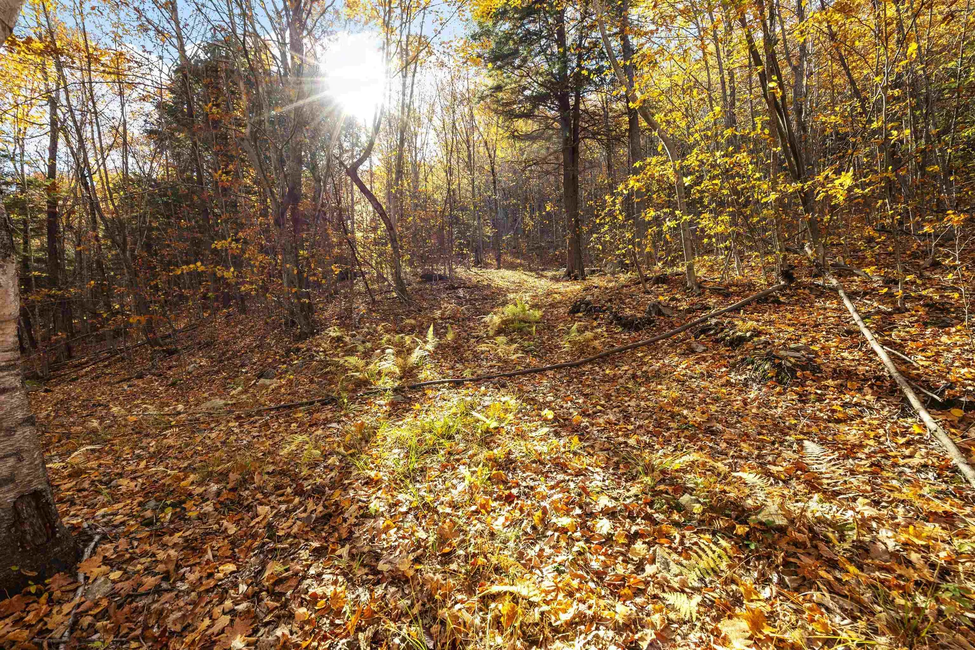 11/13/A/0 High Point Drive Alton NH 03810