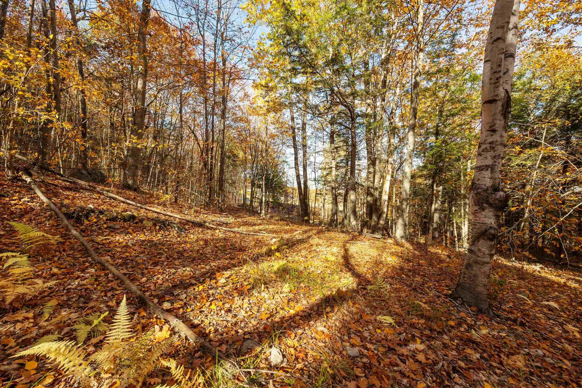 11/13/A/0 High Point Drive Alton NH 03810