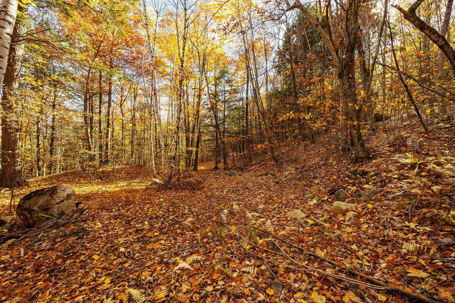 11/13/A/0 High Point Drive Alton NH 03810