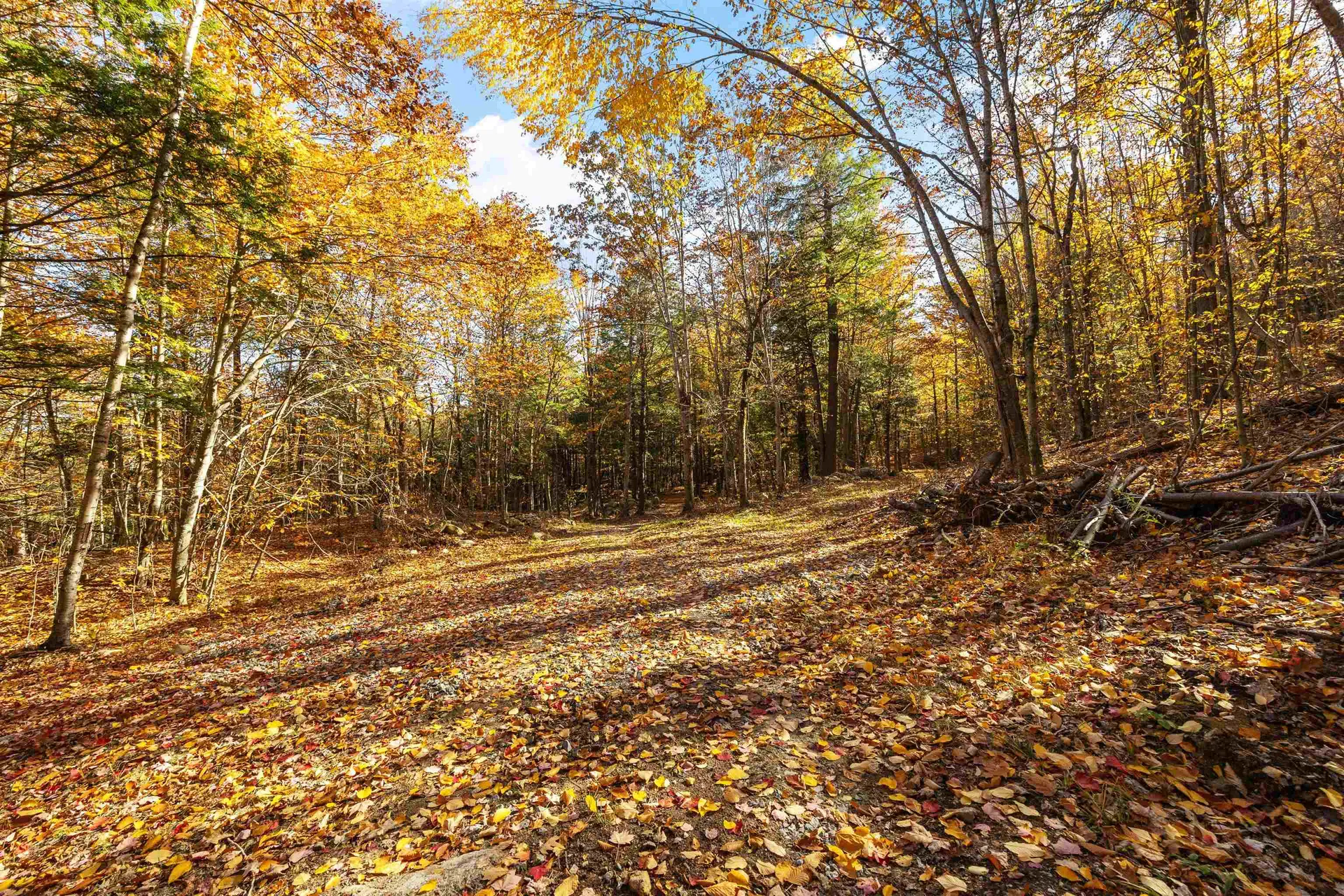 11/13/A/0 High Point Drive Alton NH 03810