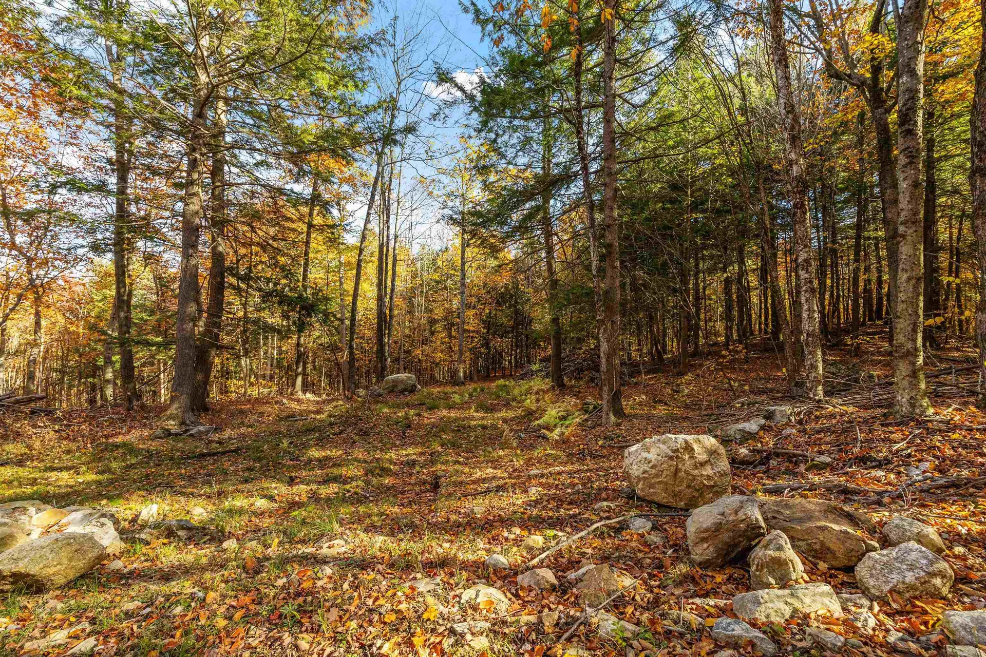 11/13/A/0 High Point Drive Alton NH 03810