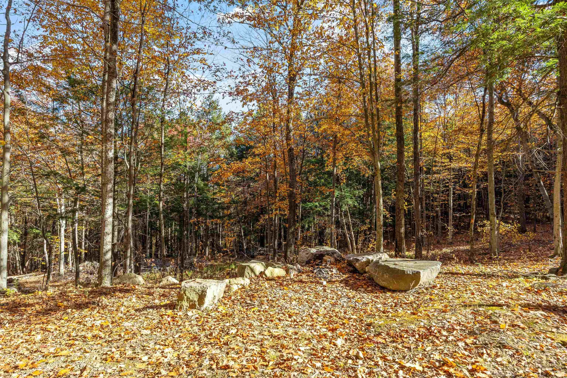 11/13/A/0 High Point Drive Alton NH 03810