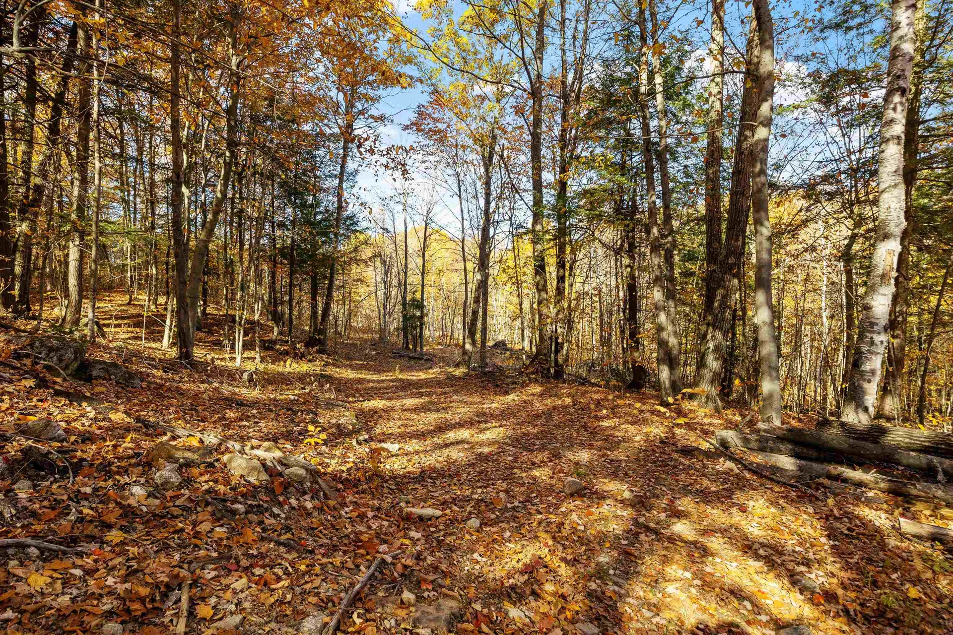 11/13/A/0 High Point Drive Alton NH 03810
